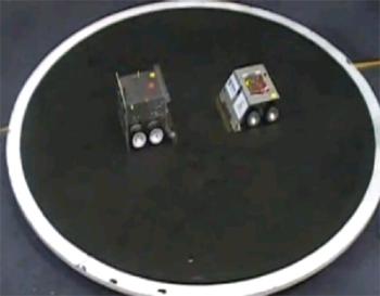 sumo2 sumo2